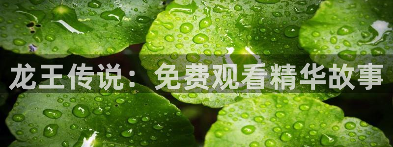 羞羞漫画黄版